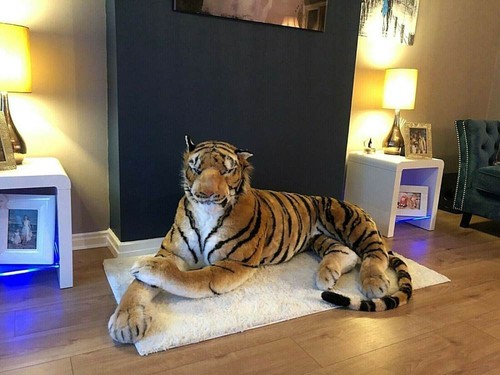 Tiger lebensgroß riesig